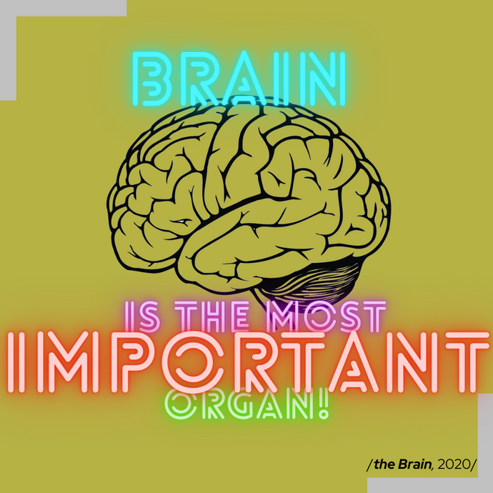 smadzenes ir vissvarīgākais orgāns -tā saka.
